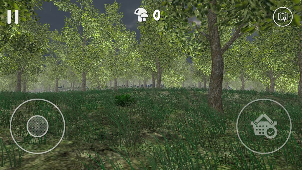 真实采蘑菇模拟器最新版下载(Real Mushroom Hunting)