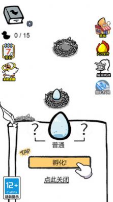 蛋里有什么图5