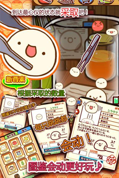 新種発見タマタマ研究所