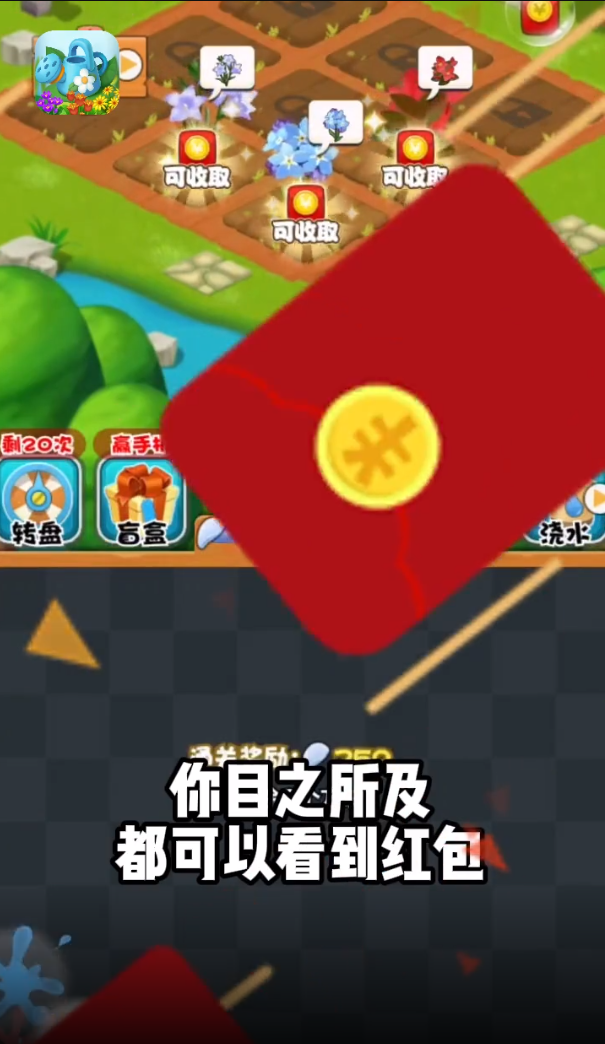 我的小院 我的小院