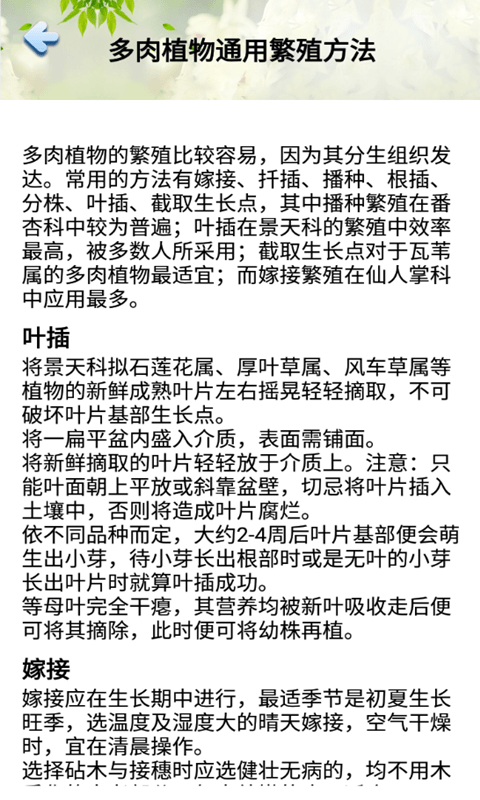 花草多肉日记图1