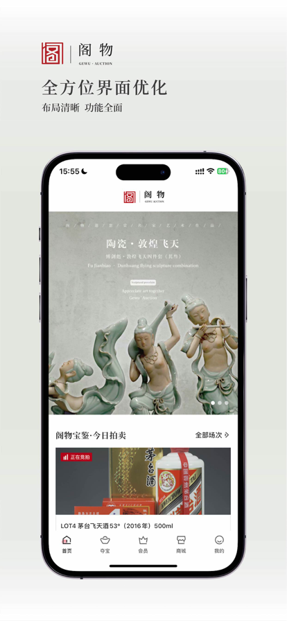 阁物图3