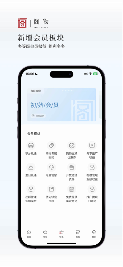 阁物图1