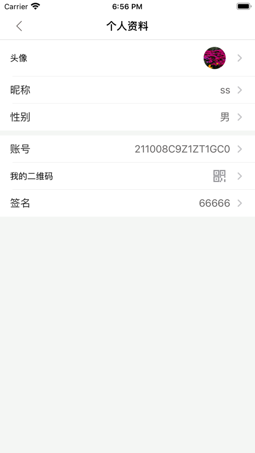 深湾Go图3