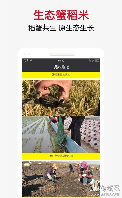 黑农瑞选图3