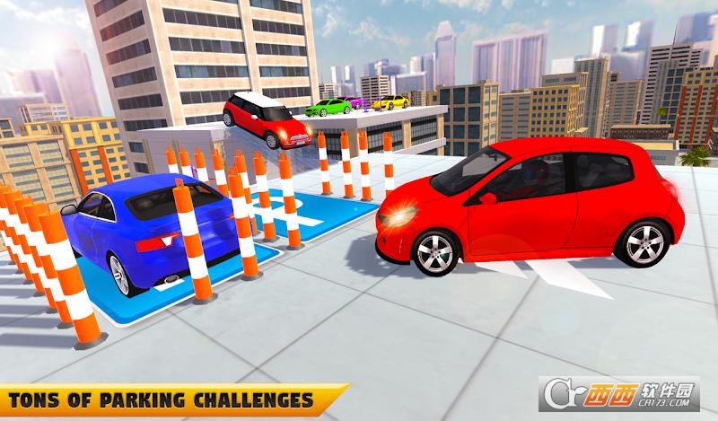 停车大师图1