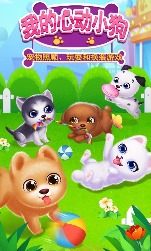 我的心动小狗 我的心动小狗