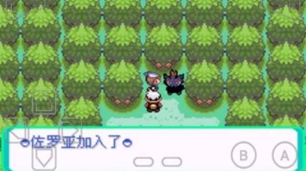 口袋妖怪 漆黑的魅影1.5图3