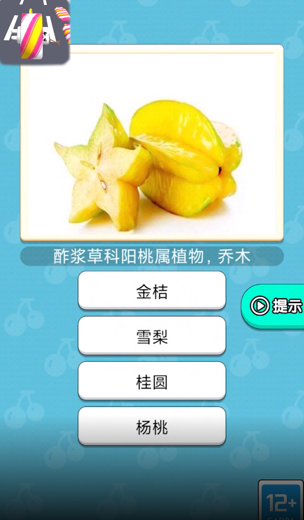 糖果大大卷图2
