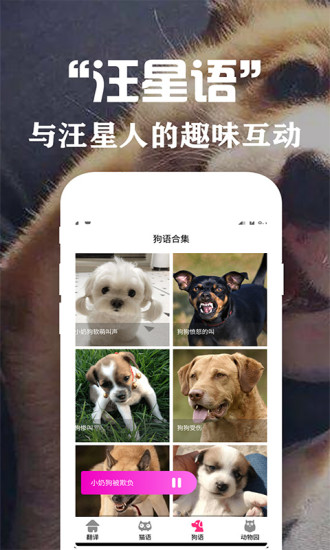 狗语翻译交流器图1