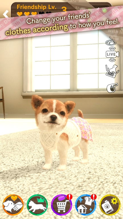 任天堂猫狗飞盘cia游戏下载(withMyDOG)
