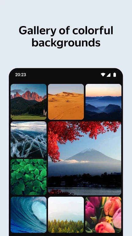 盐蛋俄罗斯浏览器安卓版最新版2023(Browser)