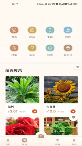 花助理图3