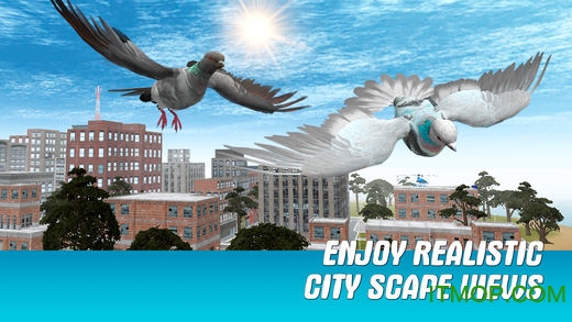 城市之鸽模拟3D破解版(City Bird Pigeon Simulator 3D)图4