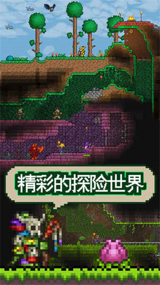 泰拉瑞亚汉化版(Terraria)图3