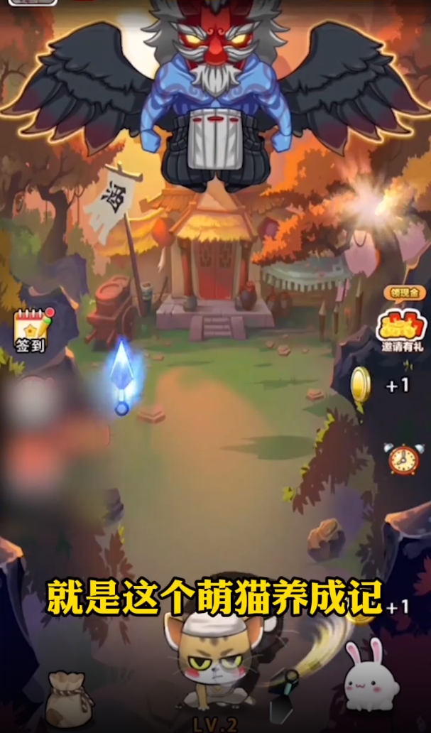 萌猫养成记 萌猫养成记