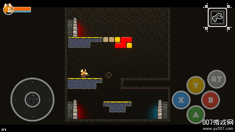 柯基的冒险之路