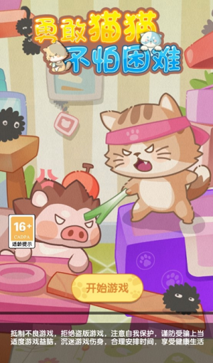 勇敢猫猫不怕困难