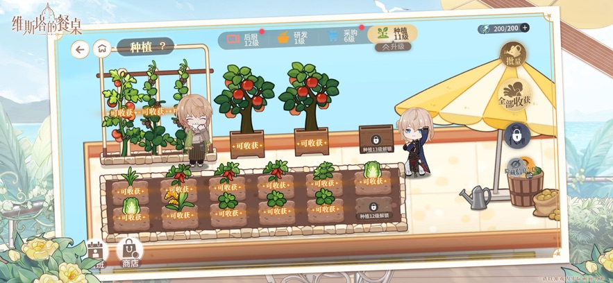 维斯塔的餐桌图3