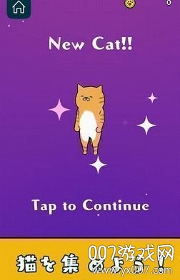 崖ねこ图1