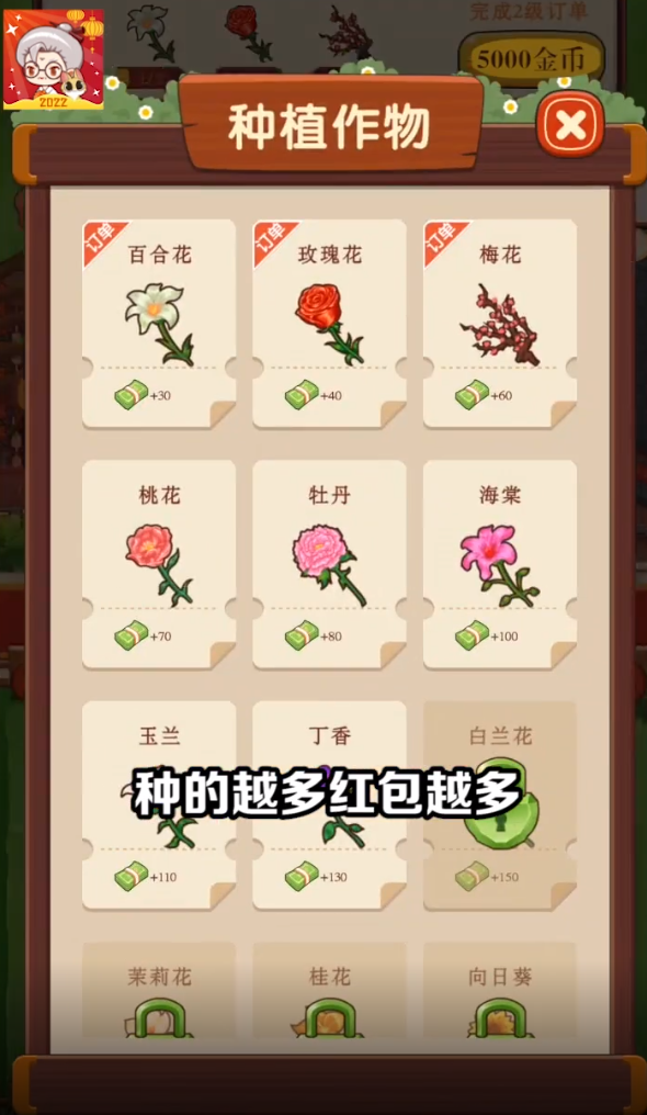 奶奶的小花圃 奶奶的小花圃