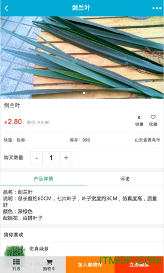 山东花艺培训网图1