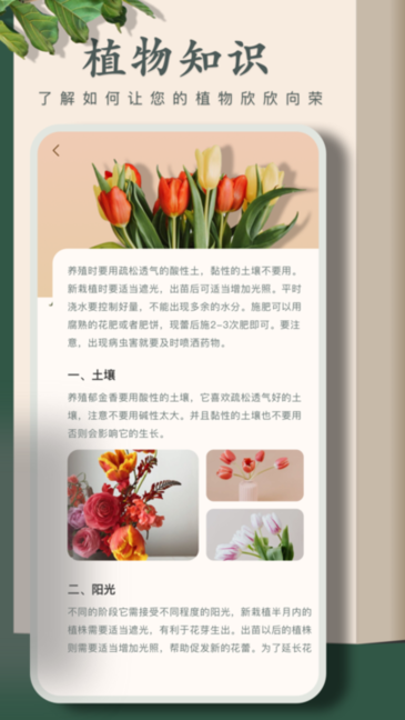 花园小憩图3