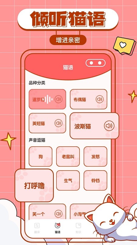 猫咪翻译物语软件图2