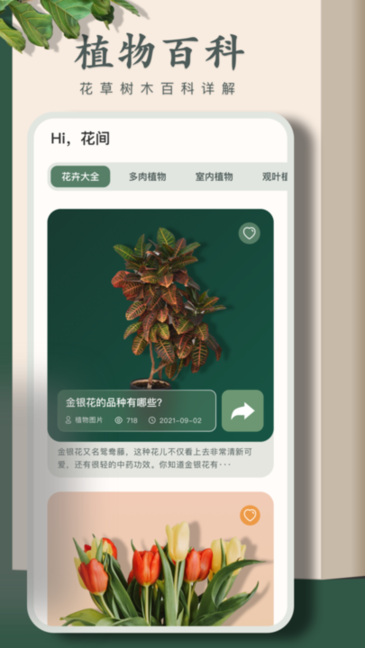 花园小憩图2