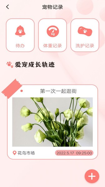 宠物日常记录图2
