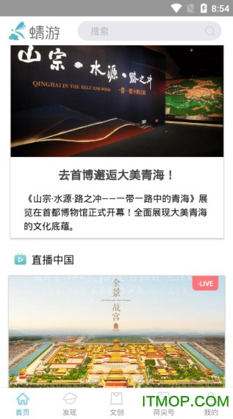 蜻游图1