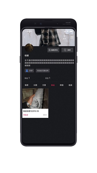 鸽报图2