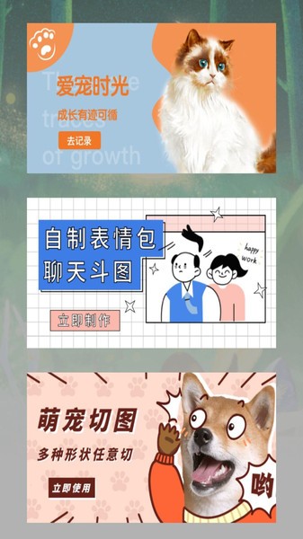 宠物日常记录图4