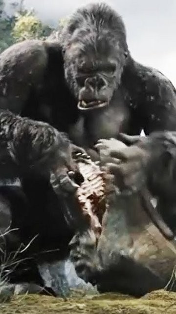 哥斯拉金刚王国图1