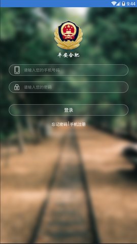 平安合肥图1