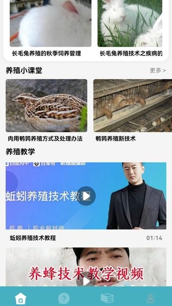 养殖猪猪世界图1
