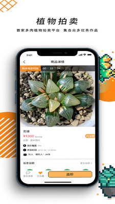一植拍图3