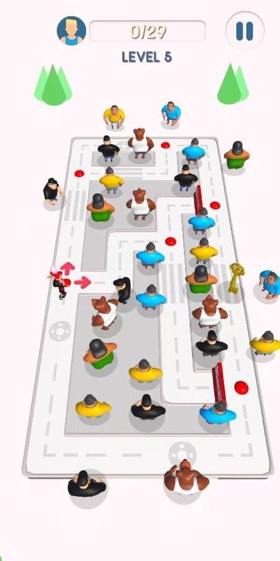 刚果线上的女孩图2