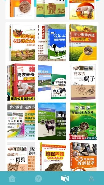 养殖猪猪世界