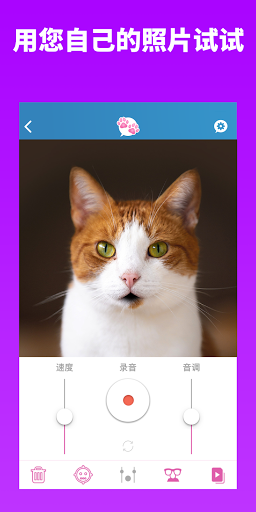 My Talking Pet我的会说话的宠物app图1