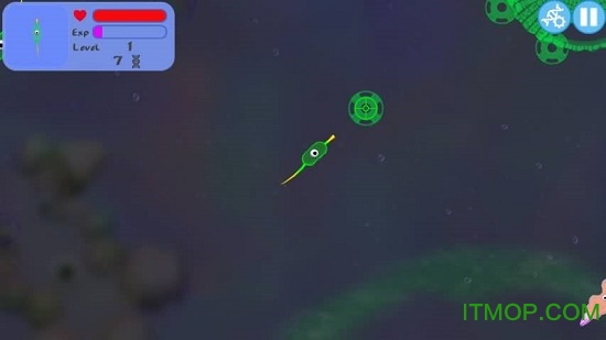 孢子进化论图2