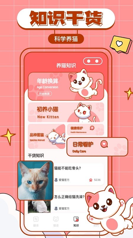 猫咪翻译物语软件图3