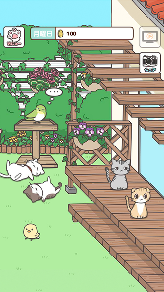 飼い猫ぐらし图2