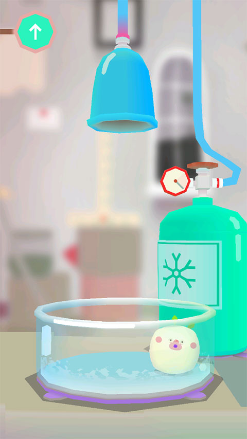 托卡实验室 正版图3