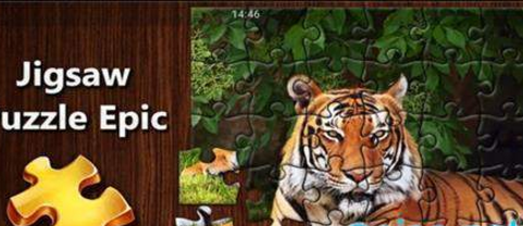 拼图秘密花园图2