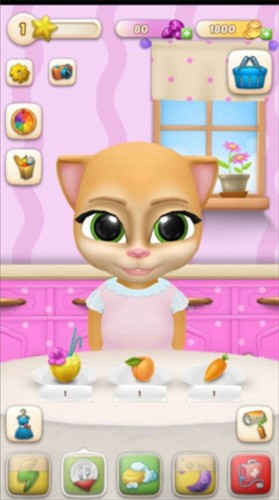 会说话的艾玛猫图5