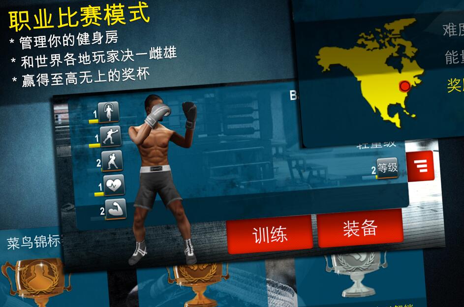 世界拳击比赛图3