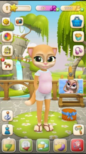 会说话的艾玛猫图4