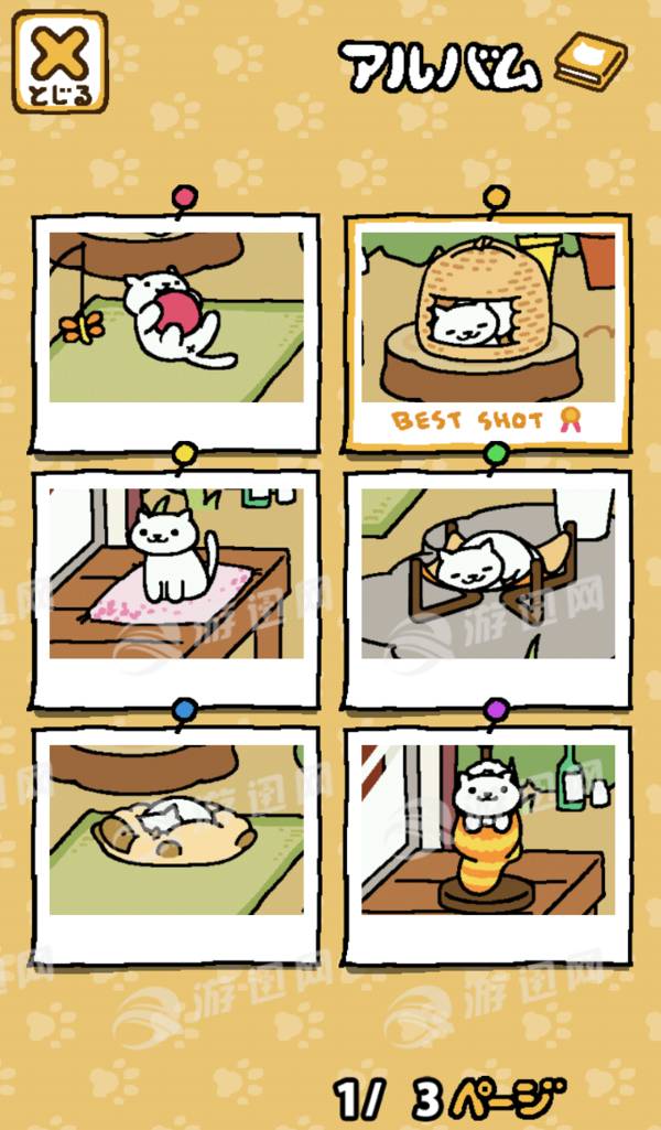 猫咪后院图3