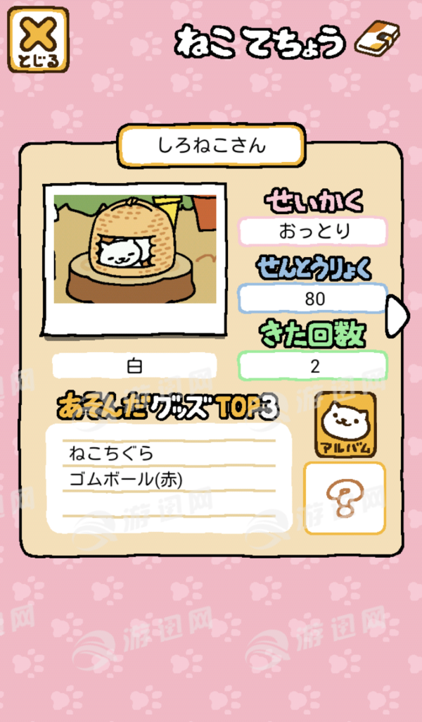 猫咪后院